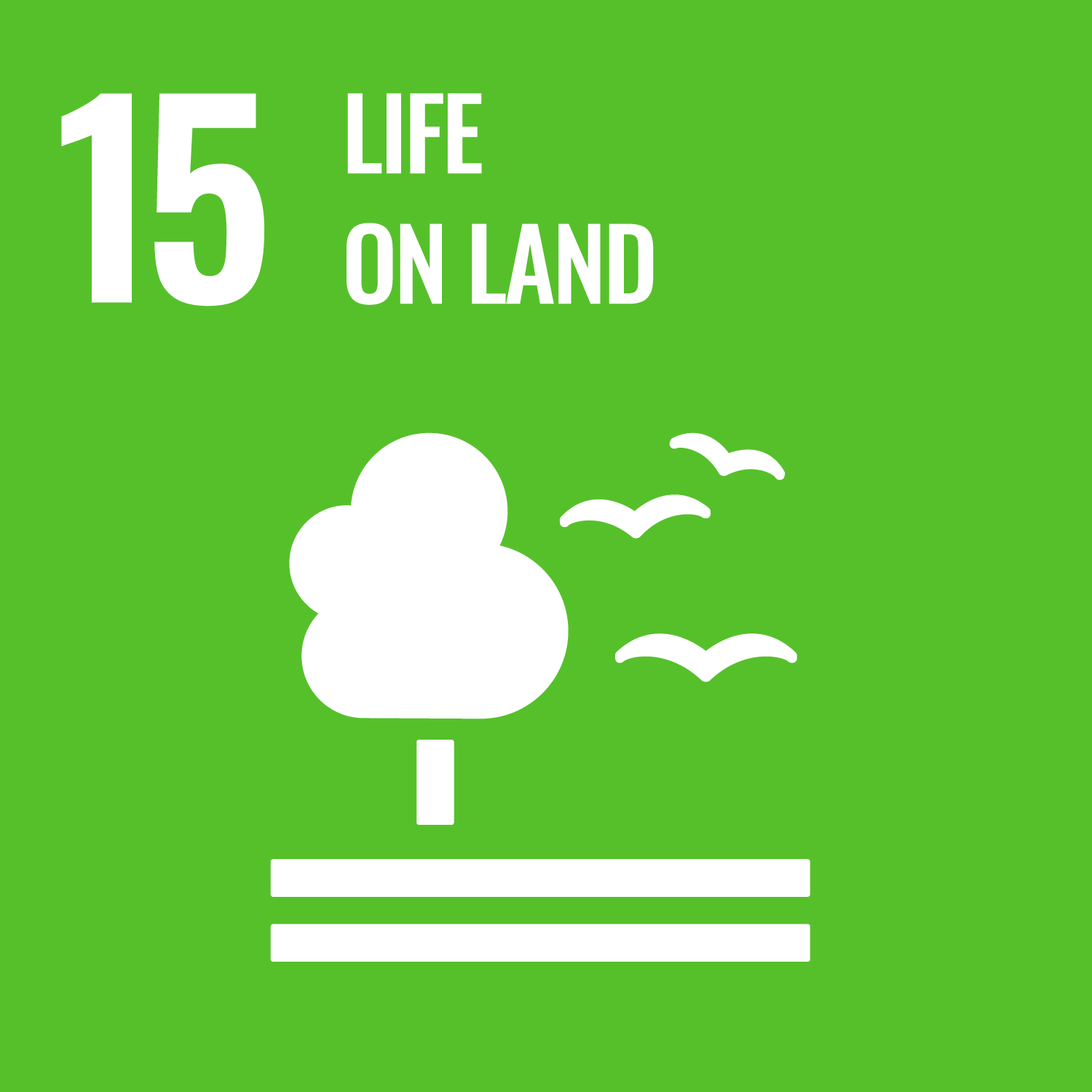 Goal 15 LIFE ON LAND